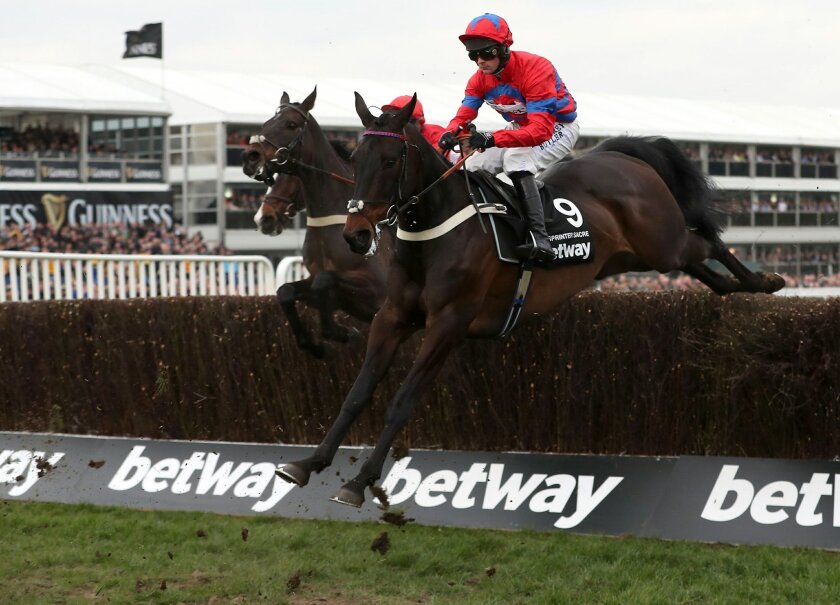 Fit Again Sprinter Sacre Wins Queen Mother Champion Chase The