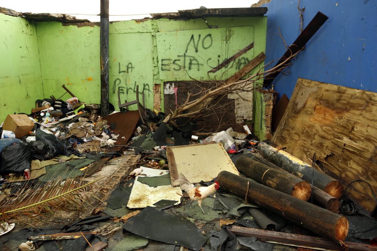 Telemundo and Univision are holding fundraisers for disaster relief for Puerto Rico, seen here following Hurricane Maria's destruction, Mexico and the U.S.