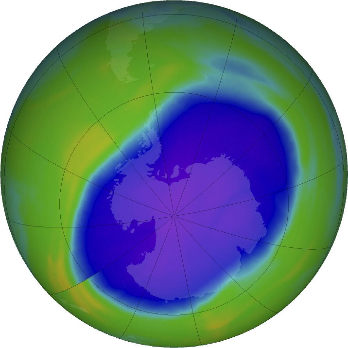 Blue and purple areas  show the hole in Earth's protective ozone layer