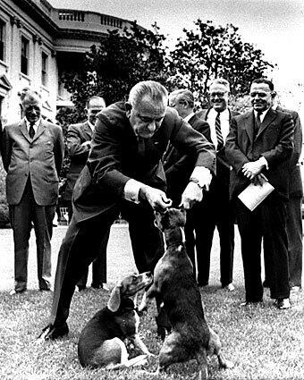 President Lyndon B. Johnson was criticized by animal lovers for holding his beagle, named Her, by the ears in front of visitors at the White House. At left is Johnson's other beagle, named Him.