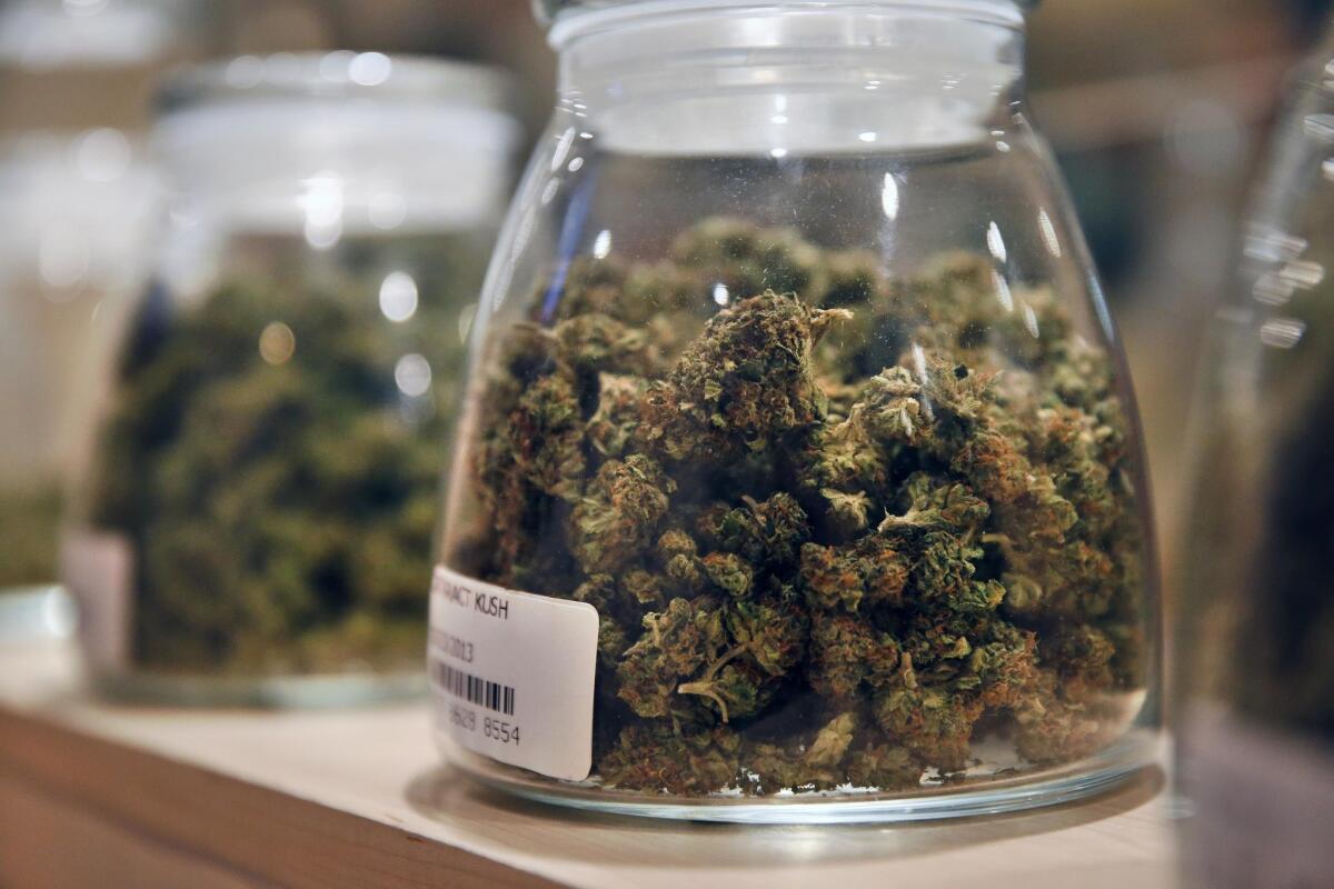 Two states, Colorado and Washington, voted more than a year ago to allow the sale of marijuana for recreational, as well as medical, use, and 18 states -- including California, Illinois and Connecticut -- and the District of Columbia allow it for some medical purposes. Above, marijuana is displayed last year at the River Rock dispensary in Denver.