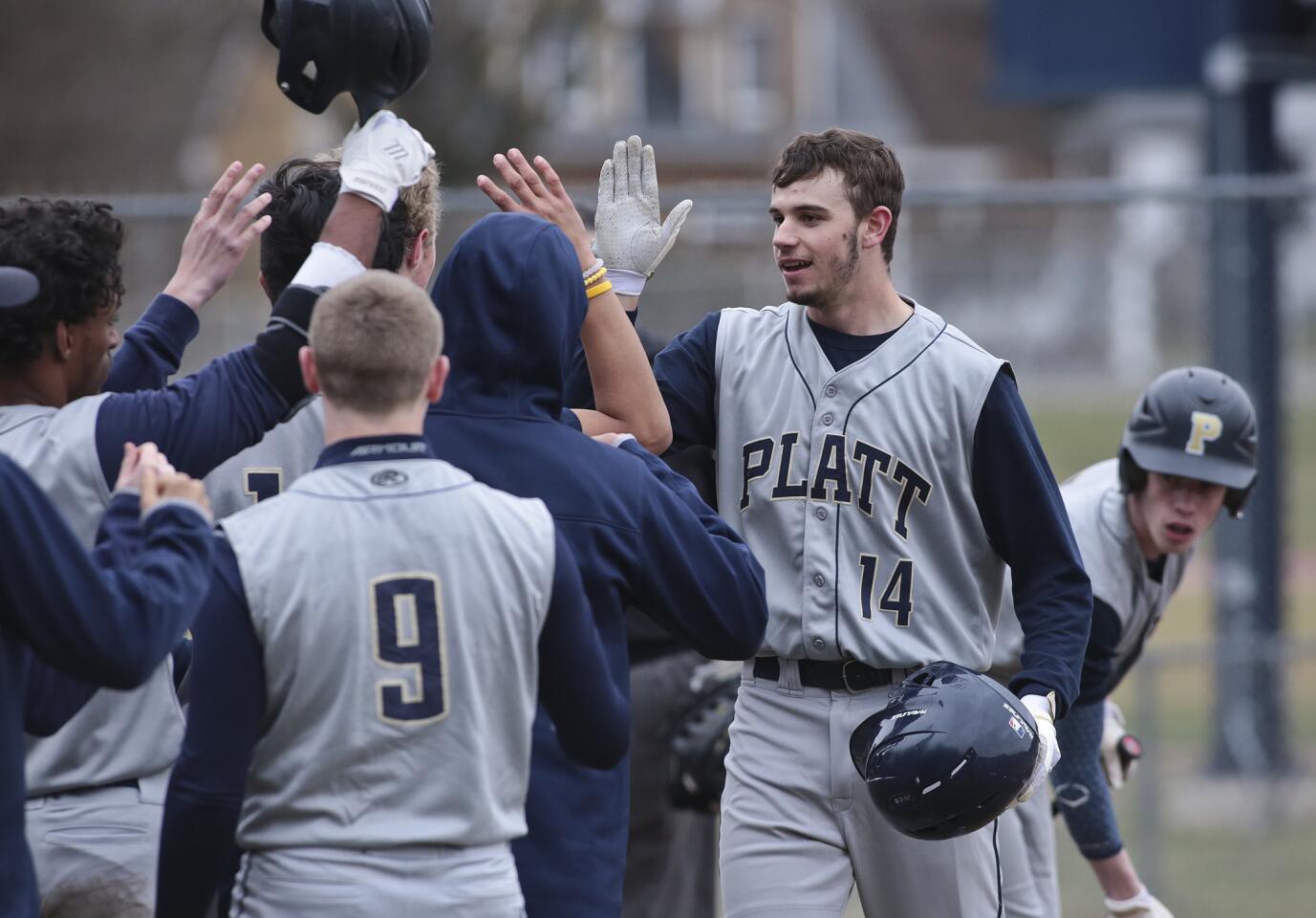 Platt's Andrew McCarty (14) gets high fives all around after hitting a 3 run home run in the 2nd inning. Platt plays Avon High School at Avon Tuesday. Michael McAndrews - Special to the Hartford Courant