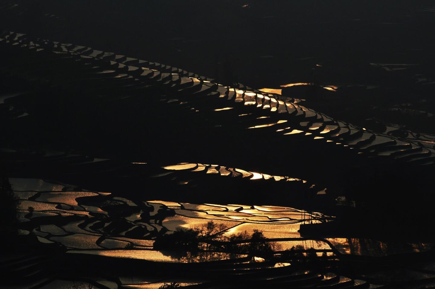 Hani rice terraces