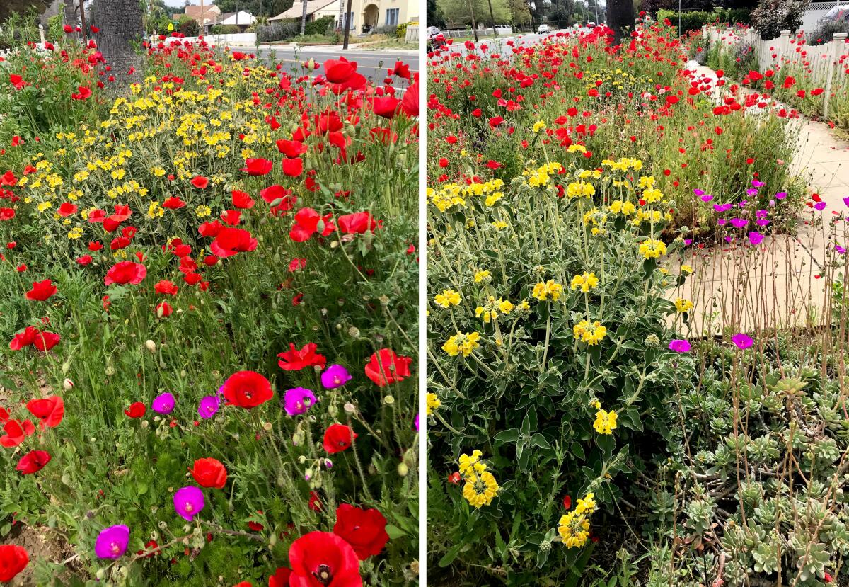 A diptych of vertical images of a colorful flower garden