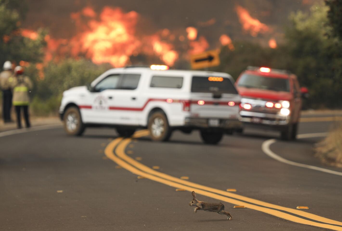US-CALIFORNIA-FIRE