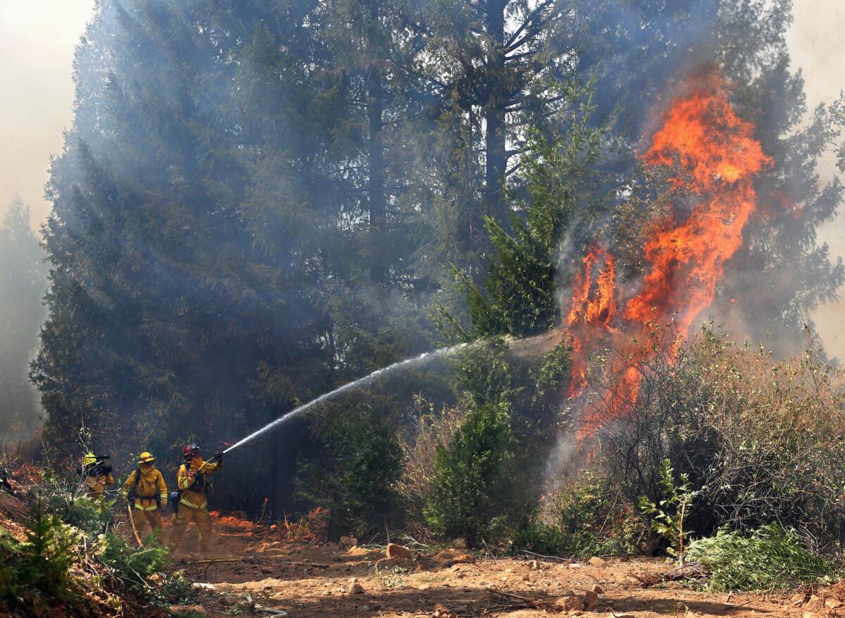 En esta foto del 17 de septiembre del 2014, bomberos combaten un incendio forestal en el área de Fresh Pond, California. Un sondeo en 40 países concluyó que la mayoría de las personas consideran el calentamiento global un problema grave y la mayoría quieren que sus gobiernos limiten las emisiones como parte de un acuerdo climático global que será negociado en París a finales del 2015.