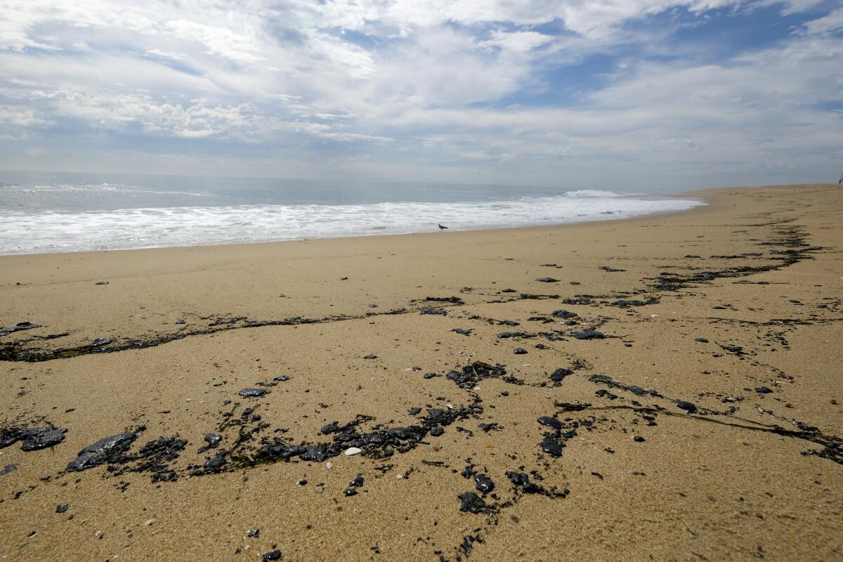 Parches de un derrame de petróleo en una playa de Huntington Beach, California