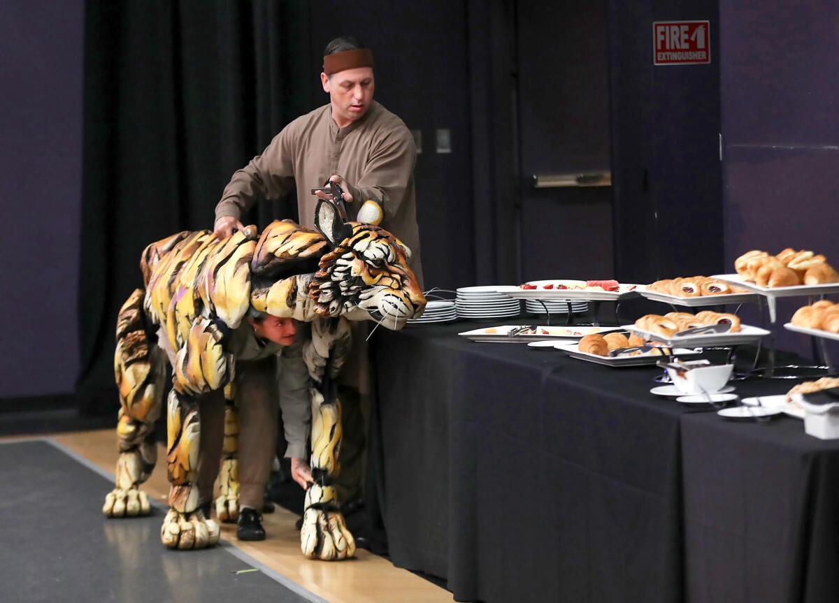 Aaron Haskell leads a curious tiger puppet to the breakfast table at a demonstration of the puppets used in "Life of Pi."