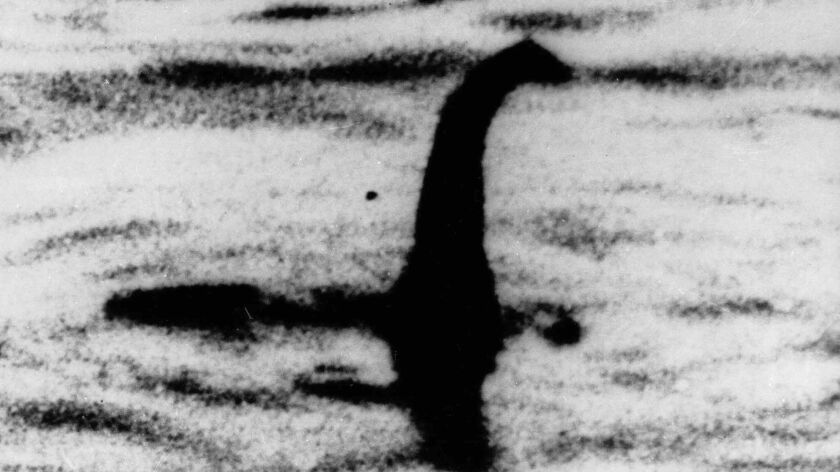 One of the more far-fetched theories is that "Nessie" is a long-necked plesiosaur that somehow survived the period when dinosaurs became extinct.