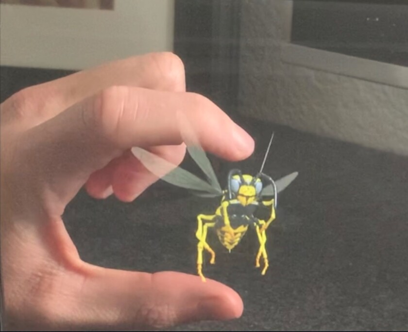 Ikin's hologram technology displays a wasp.