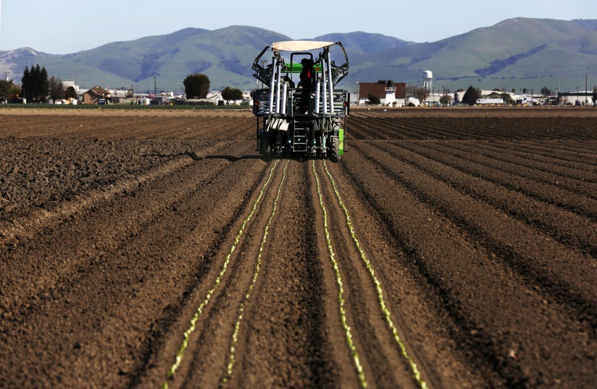 SALINAS, CALIF. -- MONDAY, MARCH 13, 2017: A demonstration of Plant Tape automated transplanting system placing romaine lettuce pods into the soil for Tanimura & Antle produce growers in Salinas, Calif., on March 13, 2017. The growing medium is sandwiched between two layers of biodegradable tissue. (Gary Coronado / Los Angeles Times)