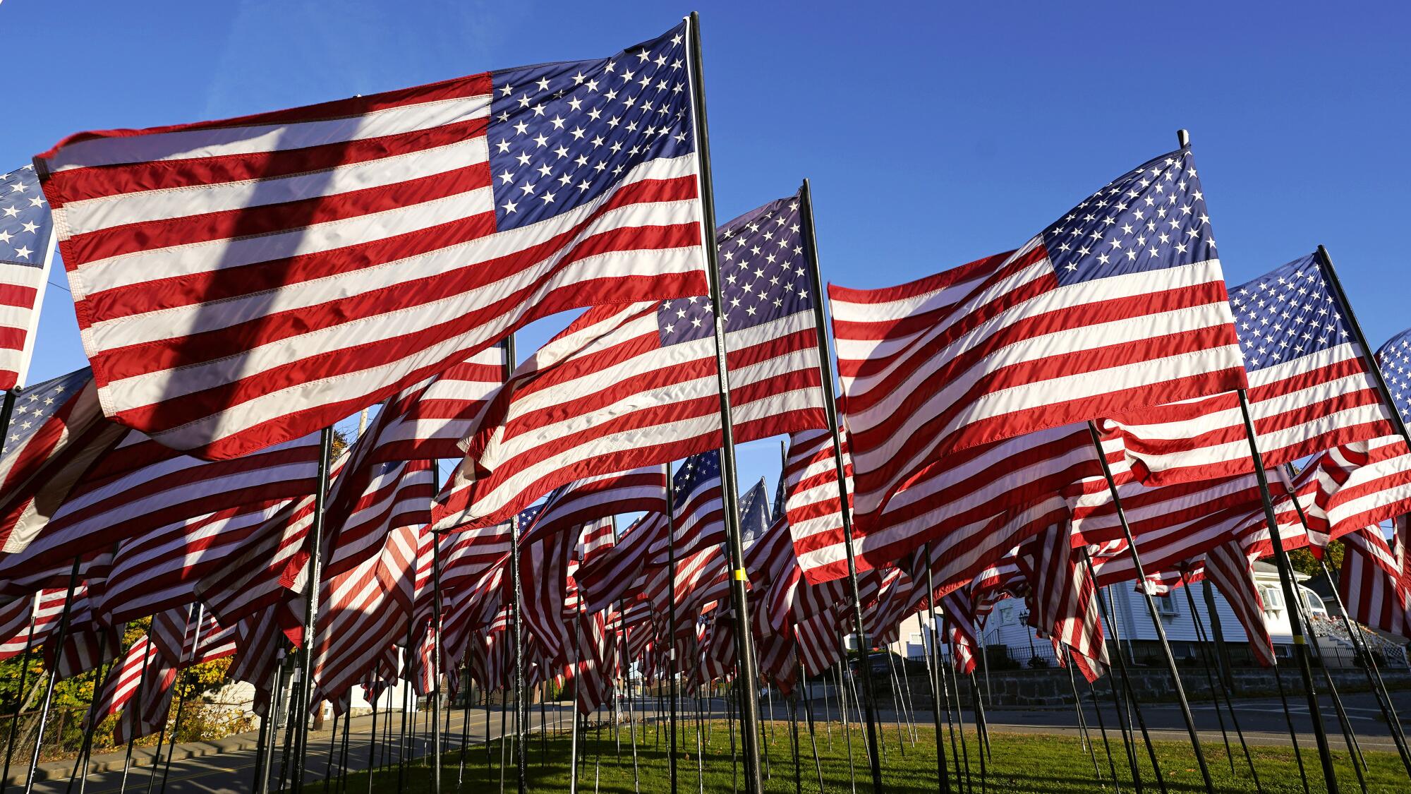 Wind blows a dense field of flags in Quincy, Mass.