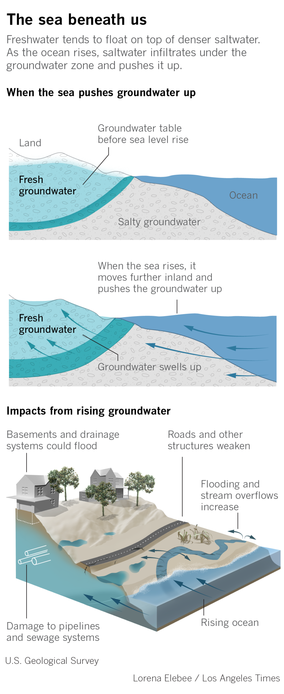How sea-level rise pushes groundwater up to the surface and impacts drainage, basements, roads and streams.