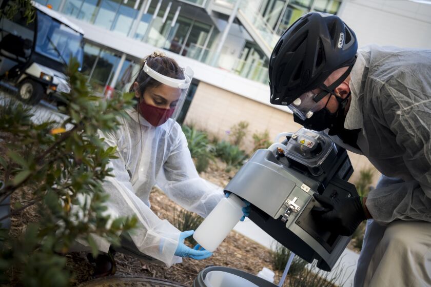 Scientists collect wastewater samples from on the UC San Diego campus.