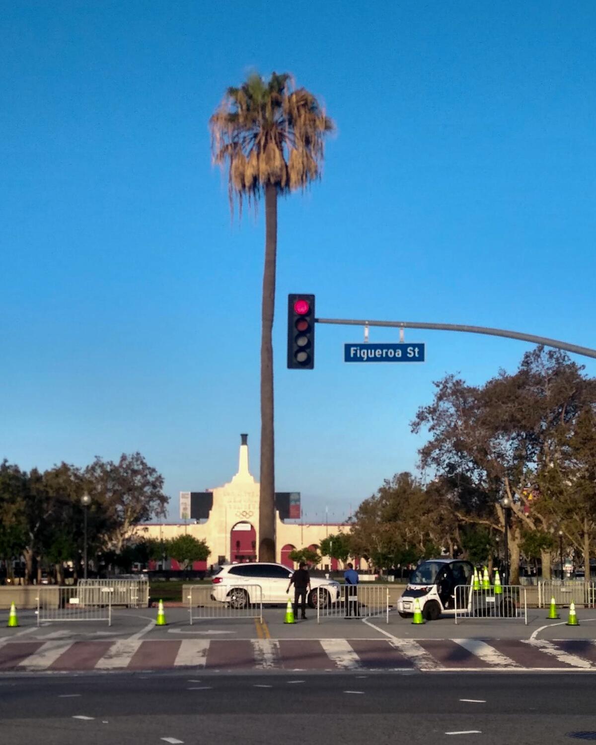 A photo of a palm tree next to a traffic light with a "Figueroa St." sign, the Coliseum entrance behind it