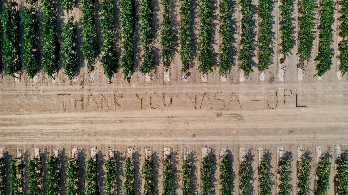 Aerial image of the words "Thank you NASA + JPL" written in the dirt between rows of grapevines