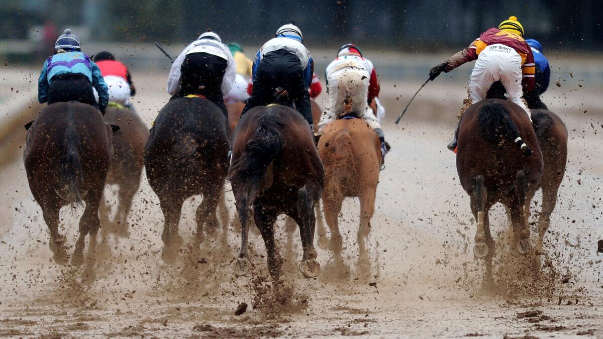 Horses turn for home in the mud a race at Santa Anita Park on Jan. 31. Wet conditions are expected again Saturday.