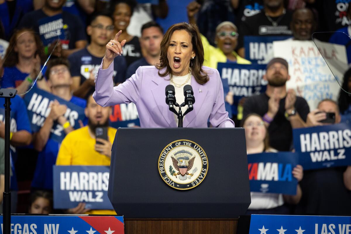 Vice President Kamala Harris speaks at a rally.