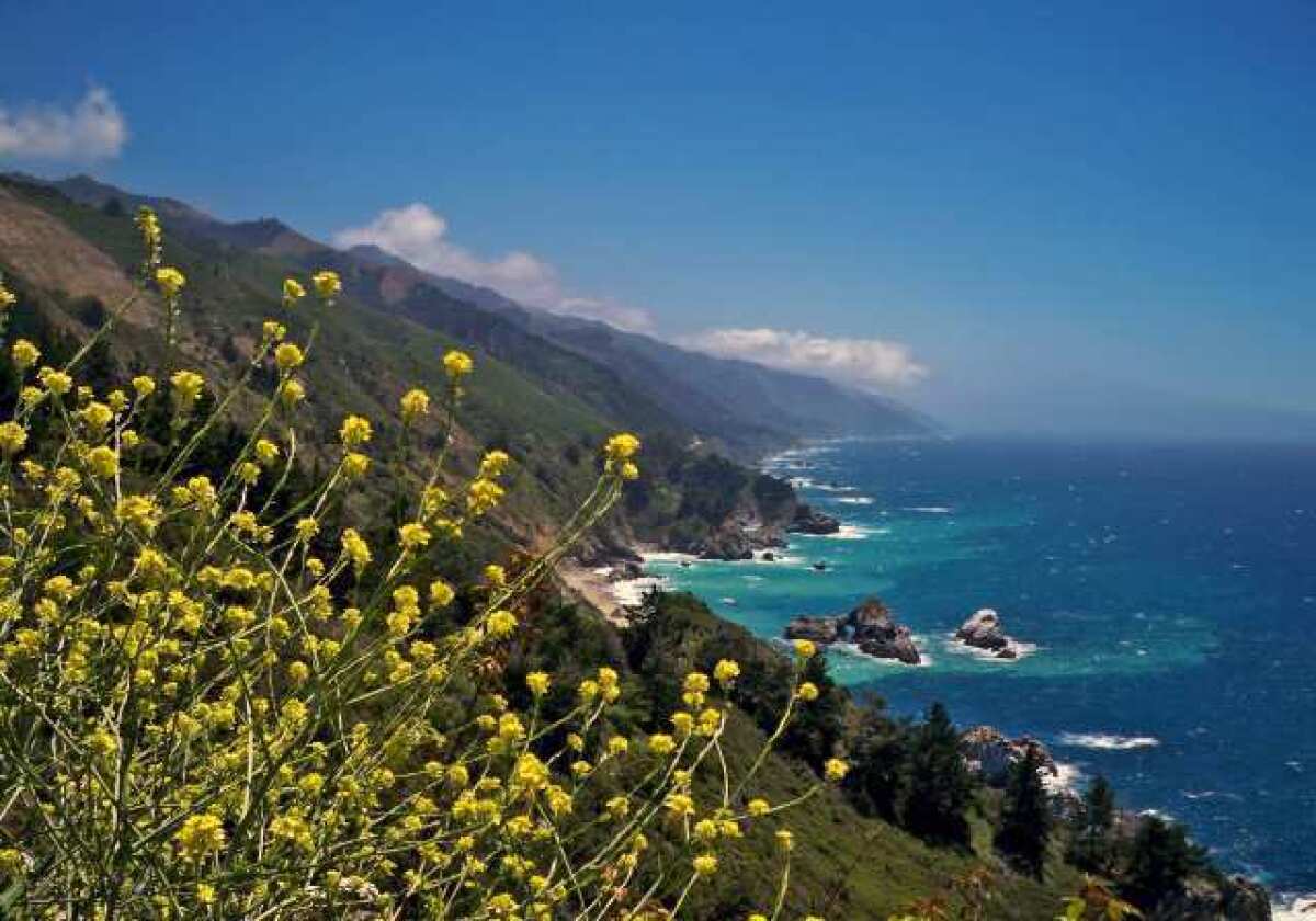 The coast of Big Sur in central California looking south near Julia Pfeiffer Burns State Park. A new report says the state could do more to improve parks and green space throughout California.