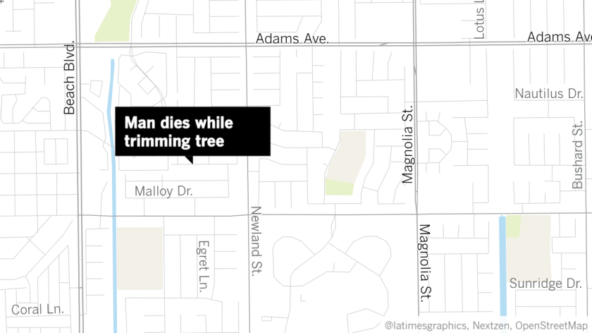 A Costa Man died Sunday after being electrocuted while working on a large palm tree in Huntington Beach, authorities said.