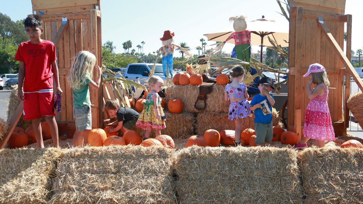 Kids play near the hay pumpkin patch during the Boots on the Beach Country Pumpkin Patch and fall festival on Saturday.