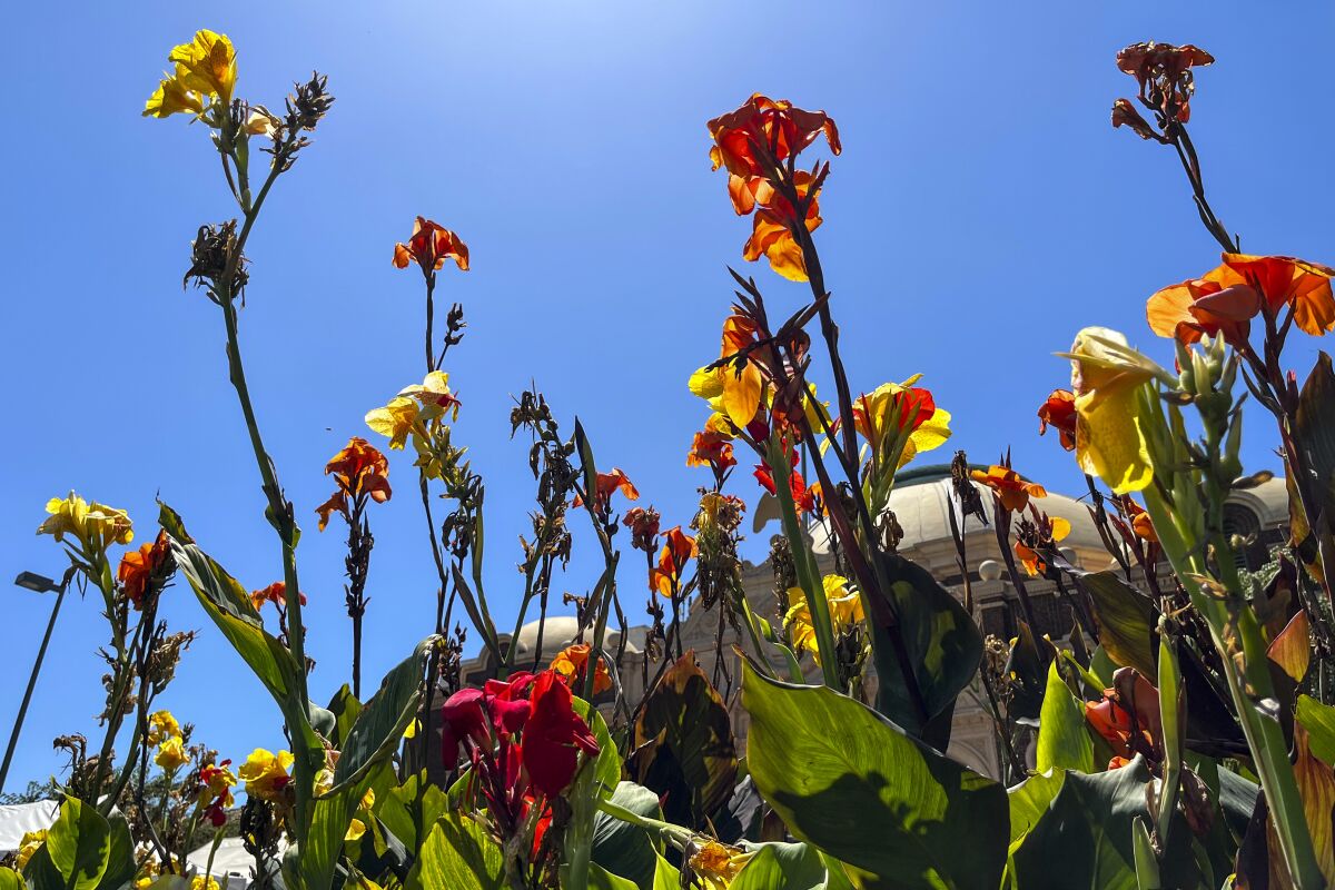 The Rose Garden at Exposition Park for the amazing places in L.A. that you can get to using public transit POI.