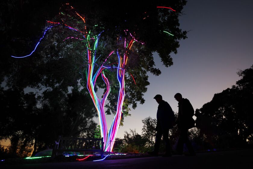 Encinitas, CA - NOVEMBER 16: People walk by the Neon Tree which is part of Lightscape, a one-mile walking path lined with more than 1 million lights and light sculptures at the San Diego Botanic Garden on Wednesday, November 16, 2022. (K.C. Alfred / The San Diego Union-Tribune)