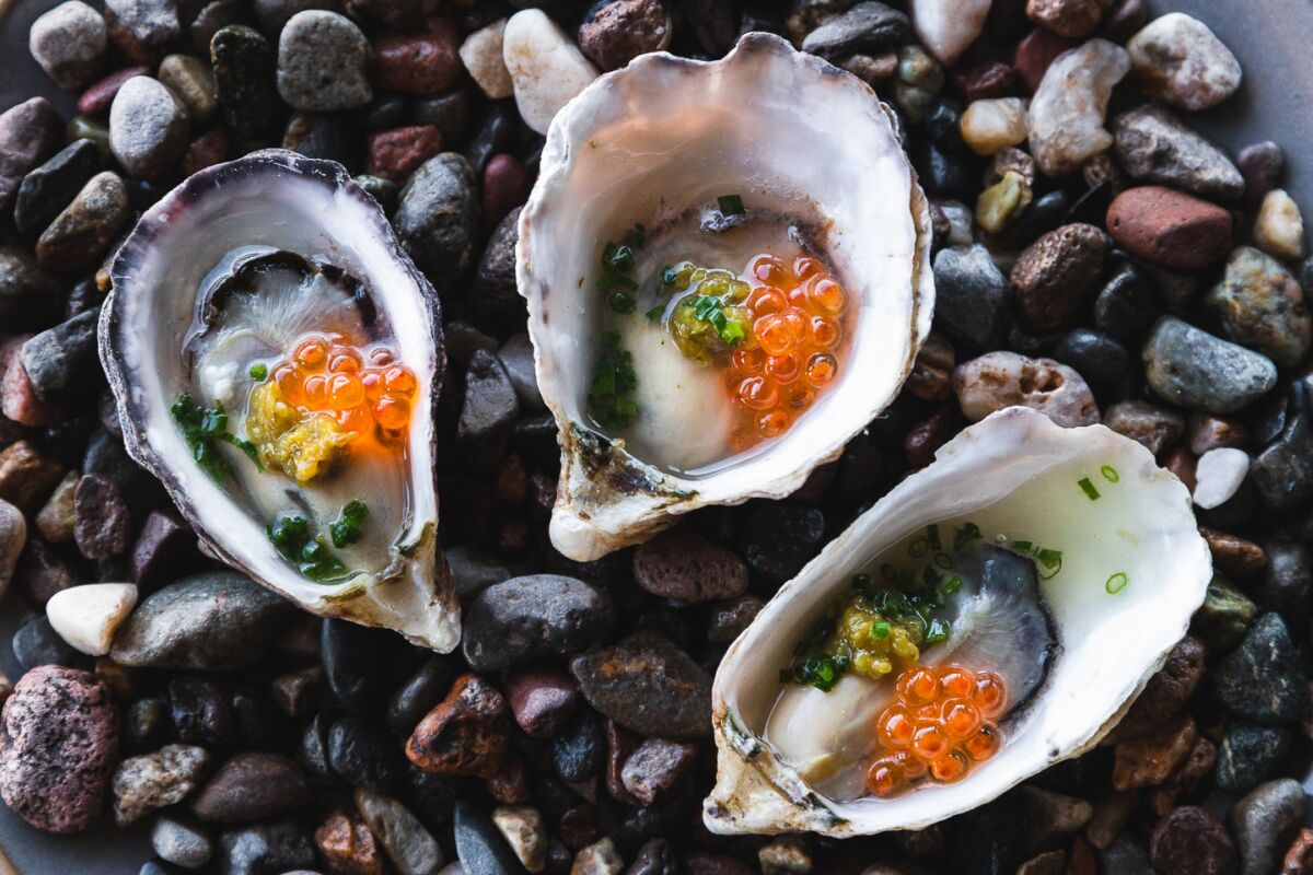 Three garnished oysters on the half shell sitting atop some pebbles.