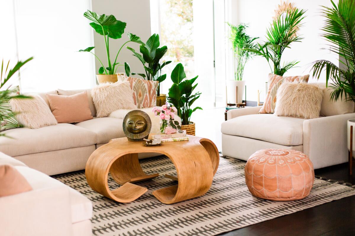 Sofas and chairs surrounded by plants in a sunny room
