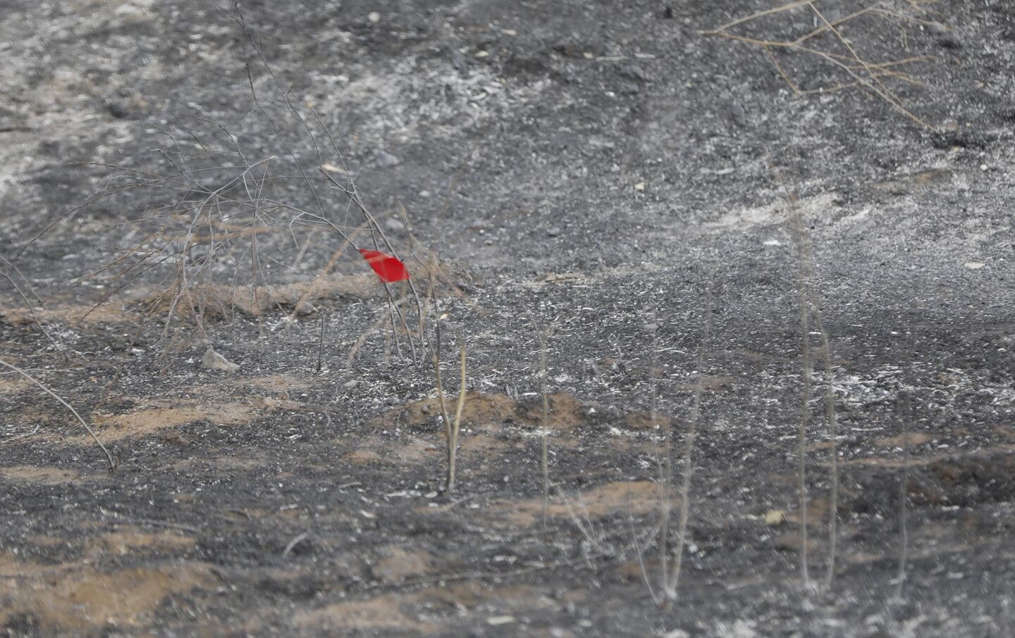 A red flag marks a spot along Alpine Boulevard near the West Willows Road offramp to Interstate 8, possibly where the West Fire started.