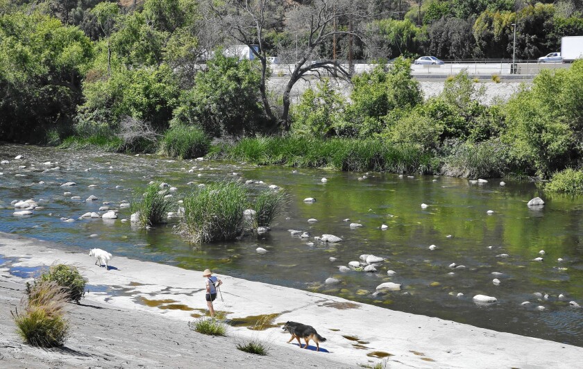 A woman walks her dogs along the Los Angeles River between the 5 Freeway and Atwater Park, in part of an area that could become nationally protected.