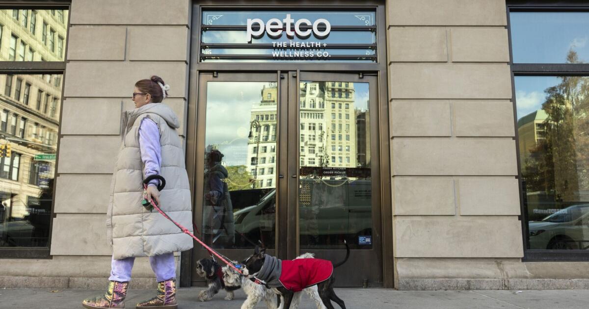 Por que os donos de animais de estimação reduzem as visitas ao veterinário, mas ainda pagam US$ 11.000 pela cirurgia