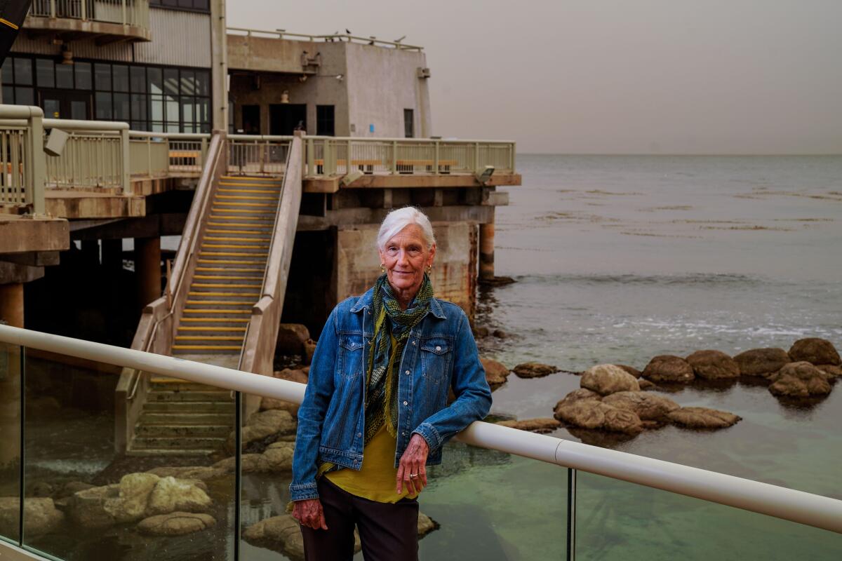 Monterey Bay Aquarium Executive Director Julie Packard