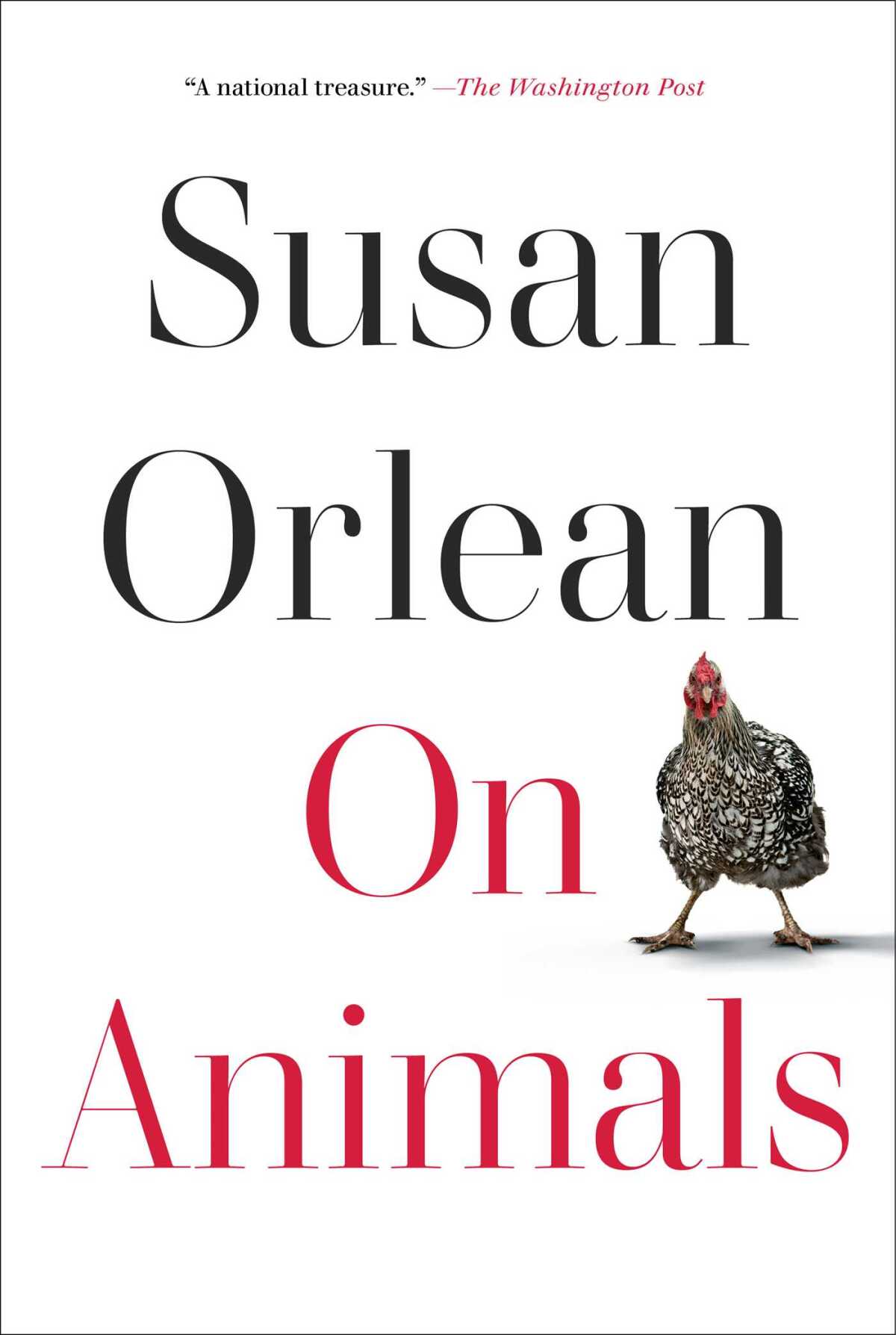 Susan Orlean's "On Animals" cover, with a photo of a chicken against a white background.