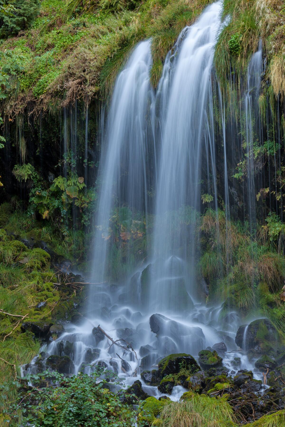 Water cascades down mossy cliffs