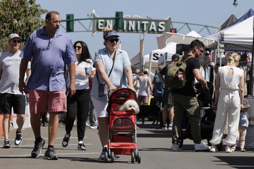 ENCINITAS, CA - APRIL 28, 2024: Lori Tate from Rancho Penasquitos pushes her dog Will in a stroller as she and her husband Shawn Tate walk past vendor booths during the annual Encinitas Spring Street Fair on South Coast Highway 101 in Encinitas on Sunday, April 28, 2024. The two day event held every year on the last weekend of April features over 450 local shops and vendors, food, live music, and a fun zone for kids.