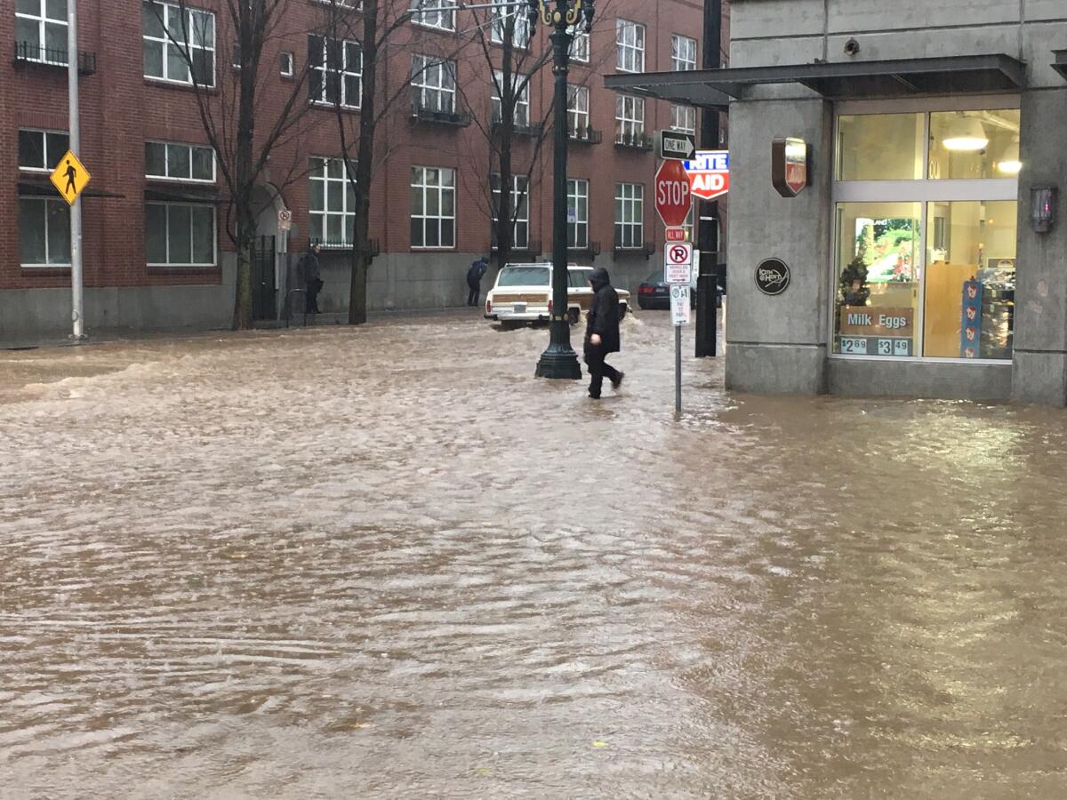 A pedestrian walks throuogh flooding in Portland.