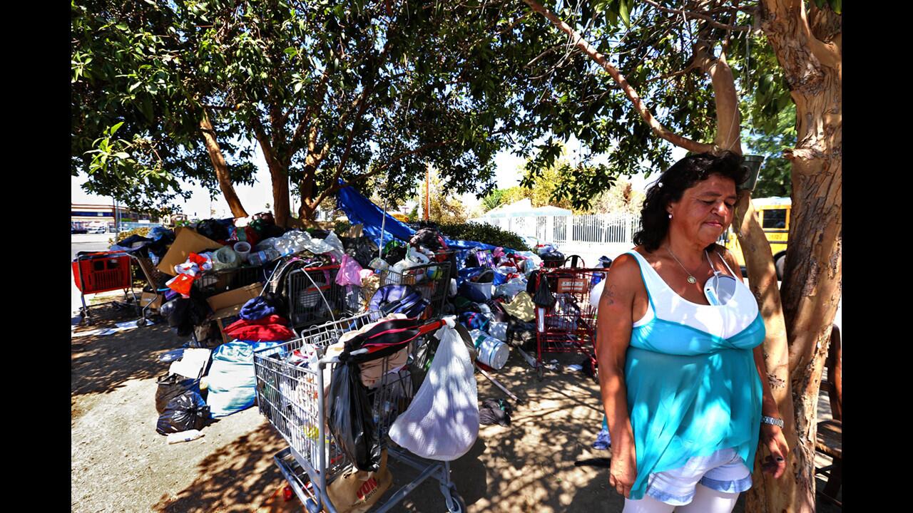 Rosa Torres, who is homeless, stands with her belongings in North Hills.