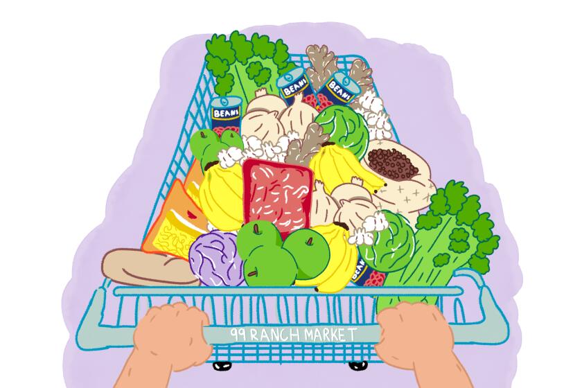illustration of woman push a 99 ranch market cat filled with various groceries 