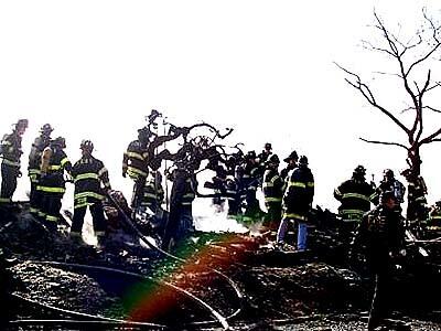 Firemen search the rubble