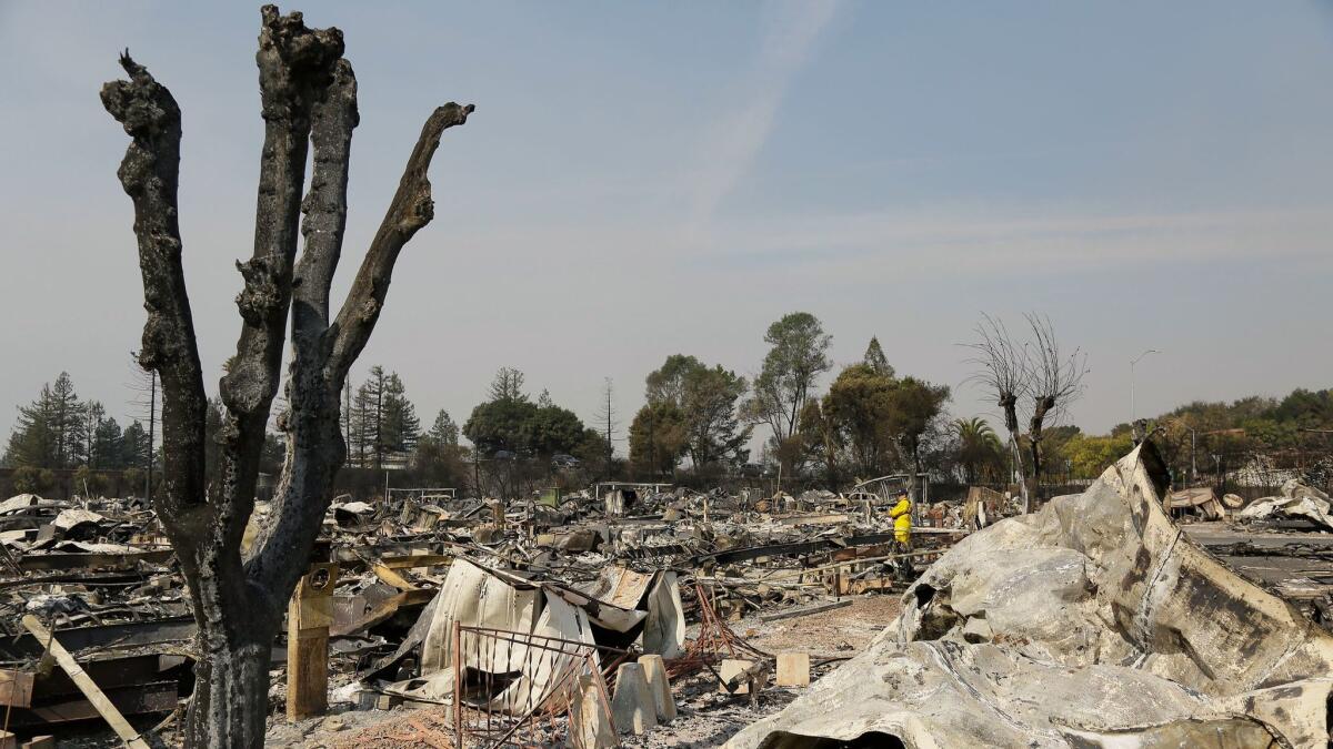 A Cal Fire official looks out at the remains of the Journey's End mobile home park in Santa Rosa, Calif. on Oct. 11.