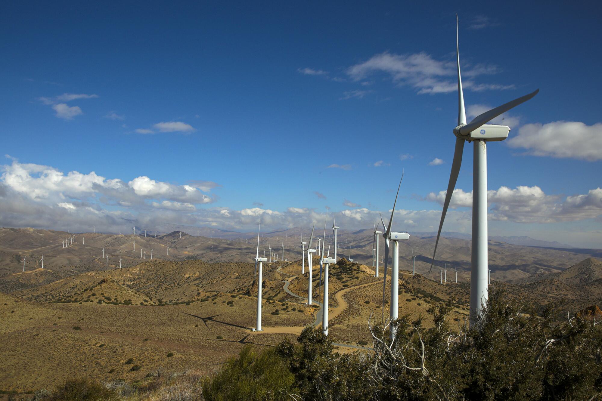 LADWP's Pine Tree Wind Farm and Solar Power Plant in the Tehachapi Mountains.