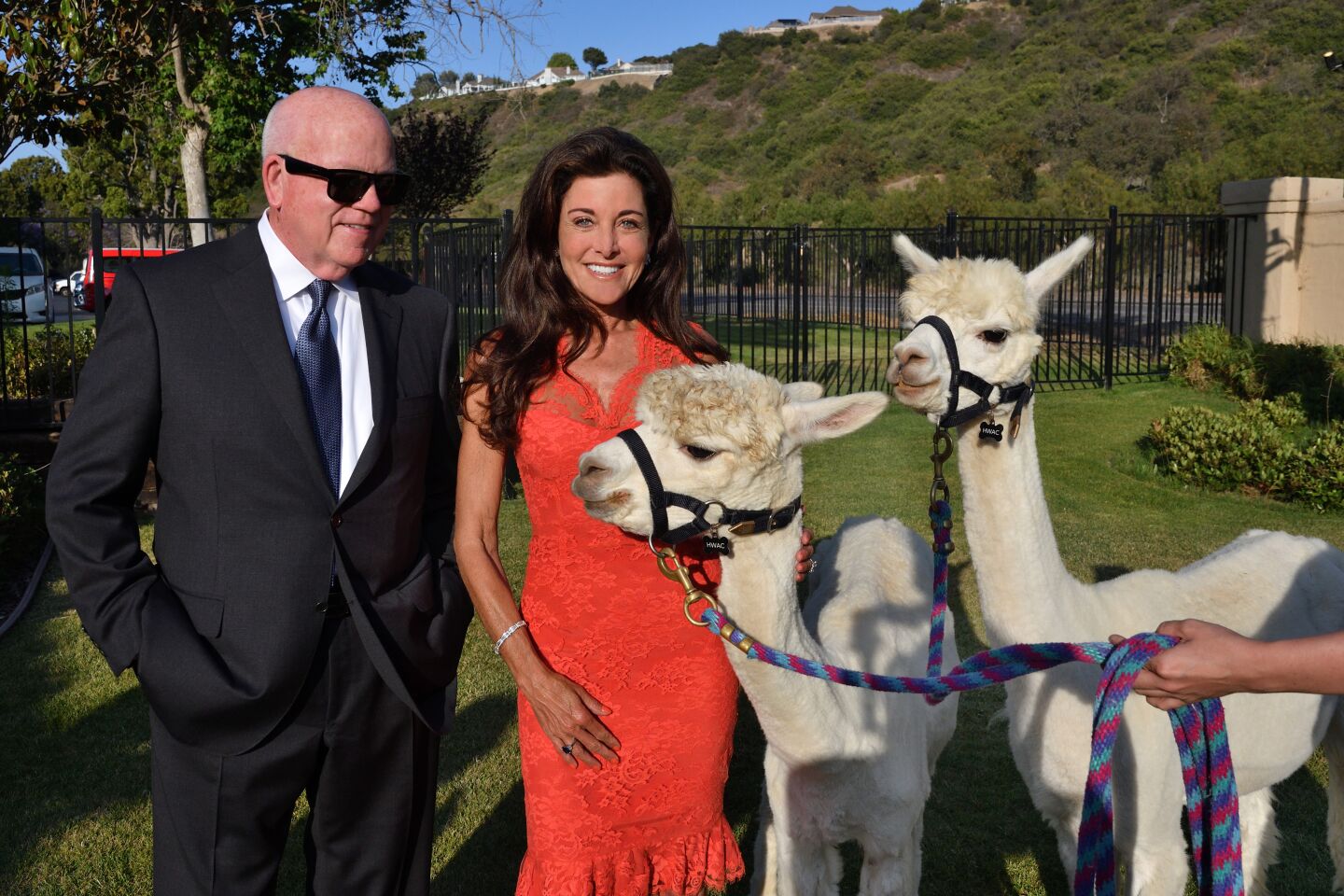 Dan Shea (Feeding San Diego CEO), Kim Miller, and llamas "Kronk" and "Kuzco"