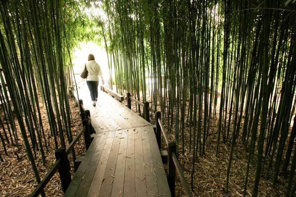 At the Huntington Library, Art Museum and Botanical Gardens in San Marino, officials are sorting out which areas are safe to reopen and how the flow of visitors can be managed to maintain social distancing.