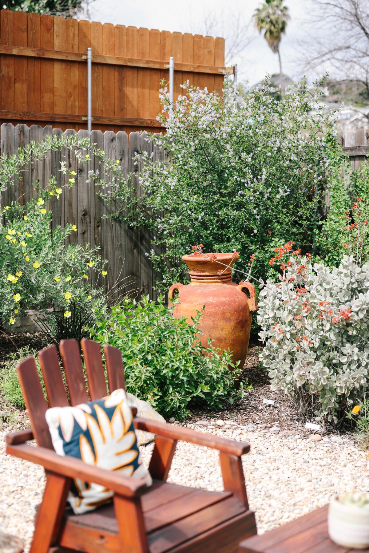Native plants growing around a large terracotta pot near an Adirondack chair in a backyard.