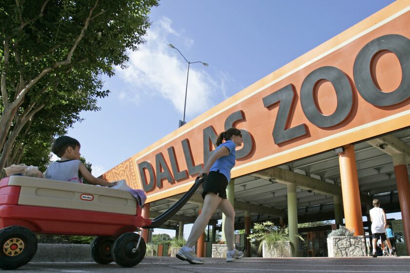 FILE - The entrance to the Dallas Zoo in Dallas is pictured on June 3, 2008. Two monkeys were taken from the Dallas Zoo on Monday, Jan. 30, 2023, police said, the latest in a string of odd incidents at the attraction being investigated, including fences being cut and the suspicious death of an endangered vulture in the past few weeks. (AP Photo/Steve Helber, File)