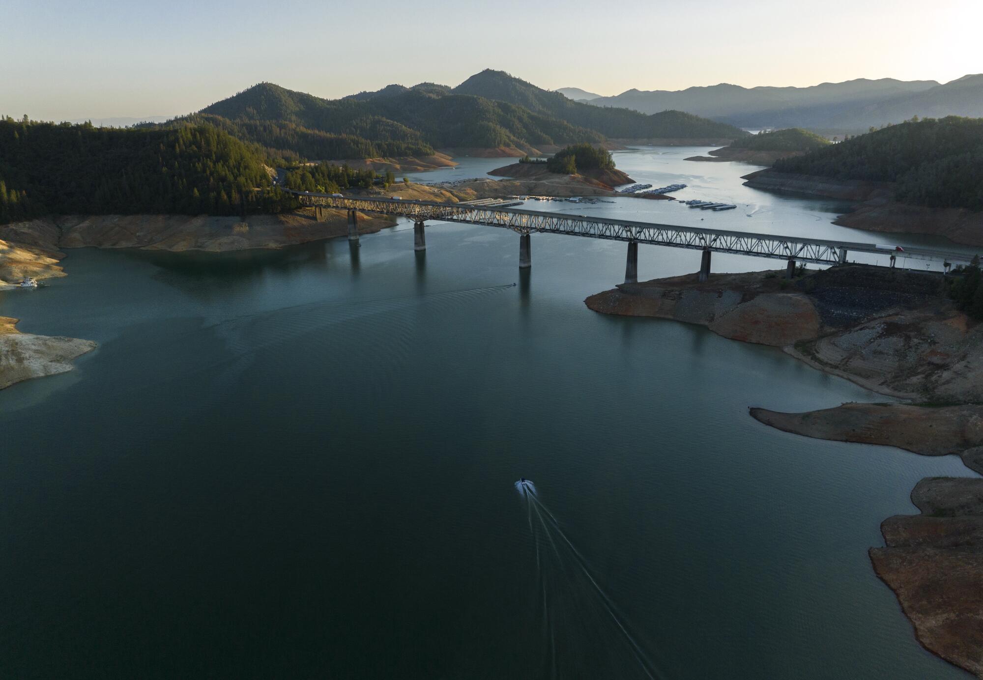The Pit River Bridge spans Shasta Lake, now at only 38% capacity.