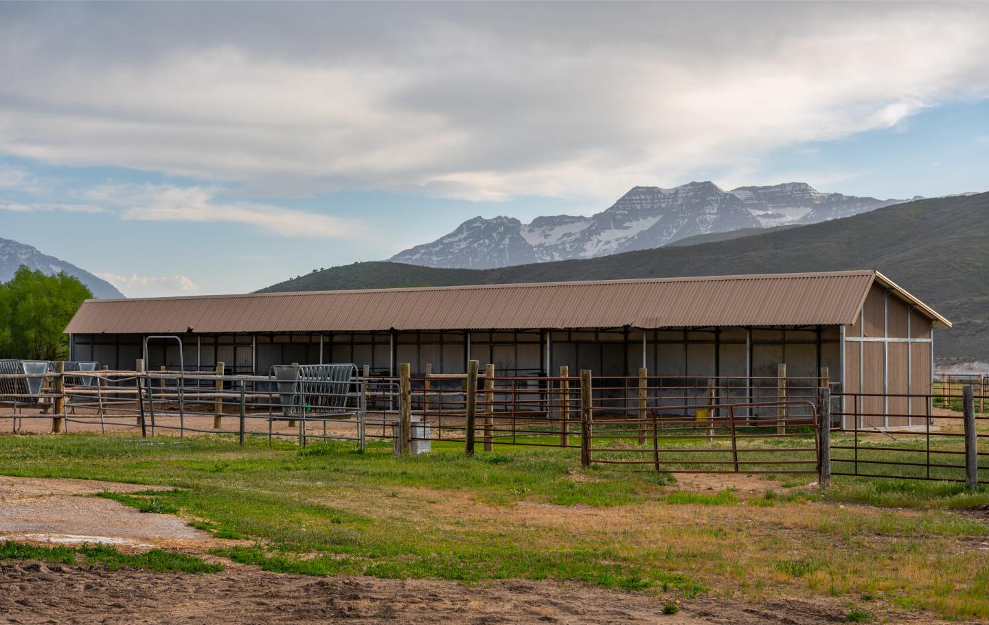 The horse stalls with the mountains behind them.