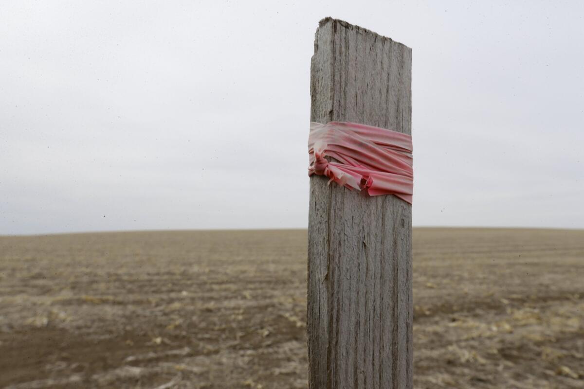 In this March 17, 2014 photo, a wooden stake with tape wrapped around it marks the planned route of the Keystone XL pipeline, near Tilden, Neb.