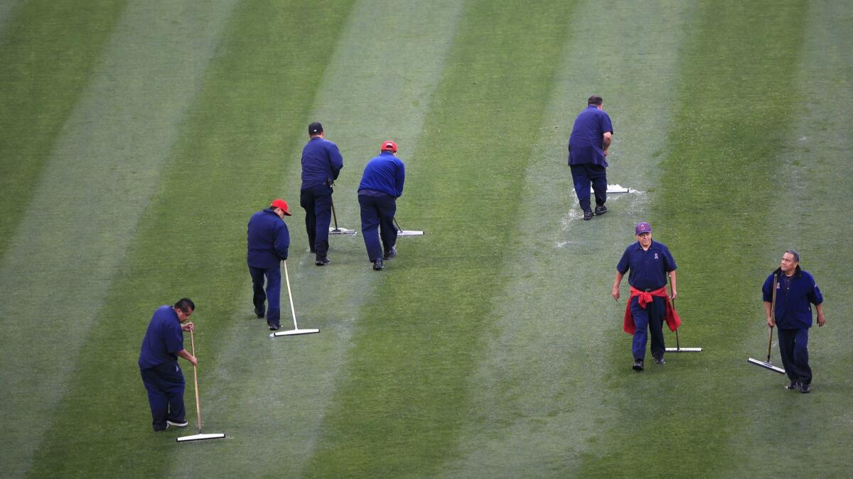 Groundcrew attempt to clear off standing water in the outfield prior to a game between the Angels and the Minnesota Twins at Angel Stadium on Wednesday.